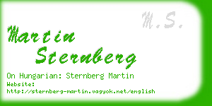martin sternberg business card